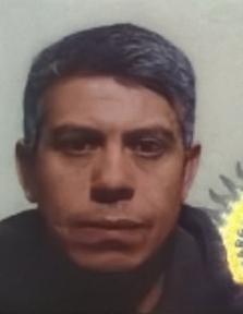 GUSTAVO NUÑES